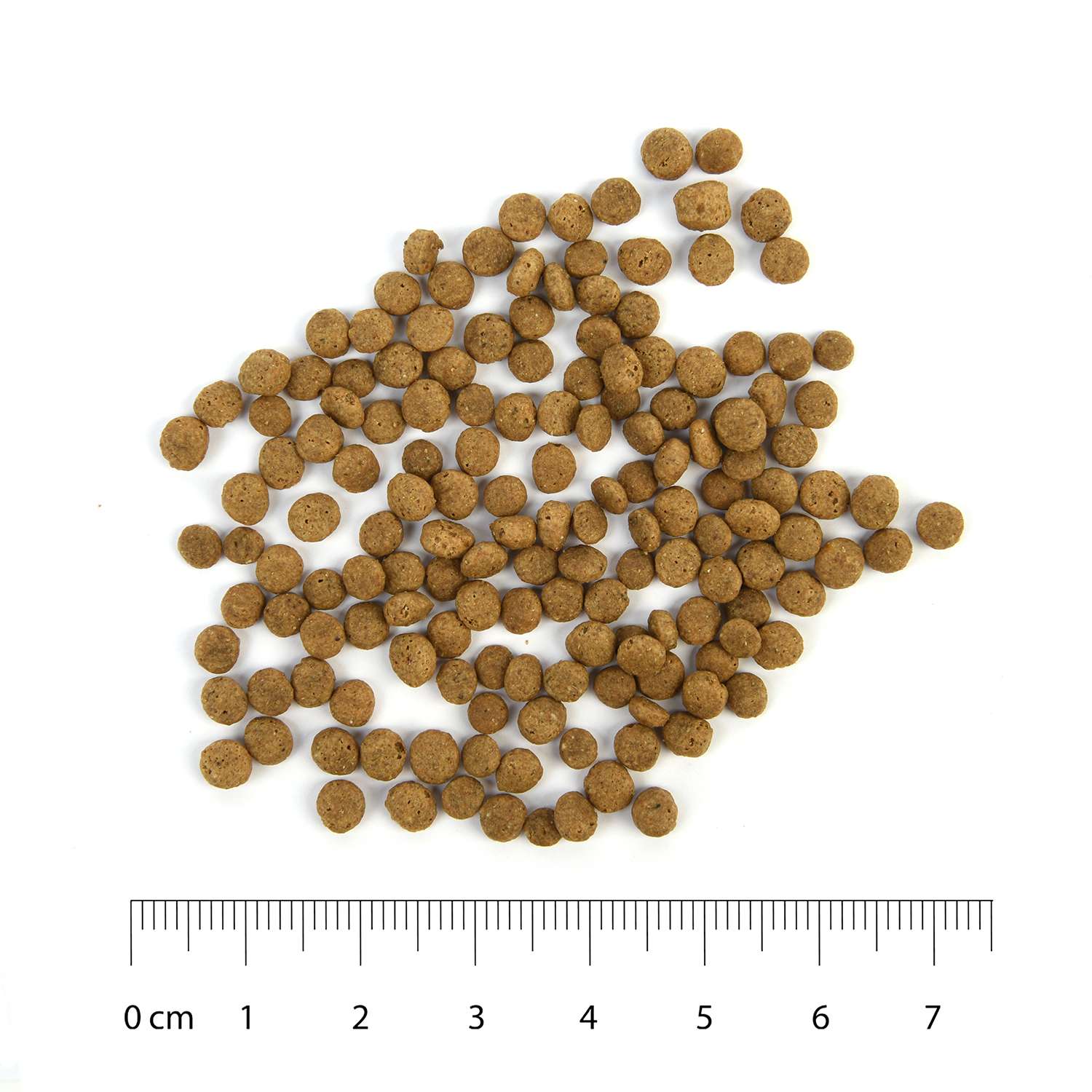 Корм для кошек Carnica 0,4кг из ягненка сухой - фото 7