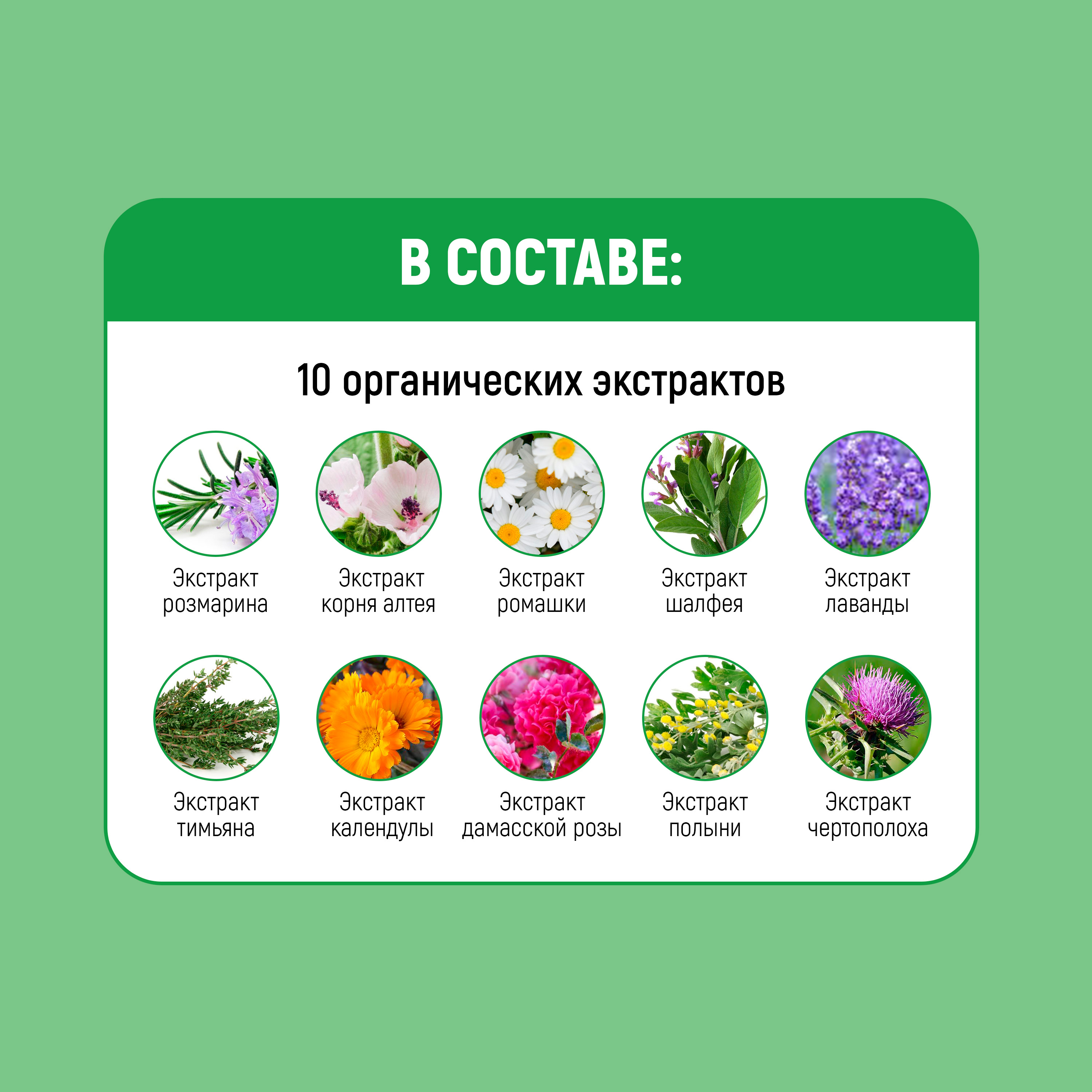 Бальзам-кондиционер Moist Diane Botanical Moist Увлажнение 480 мл - фото 5