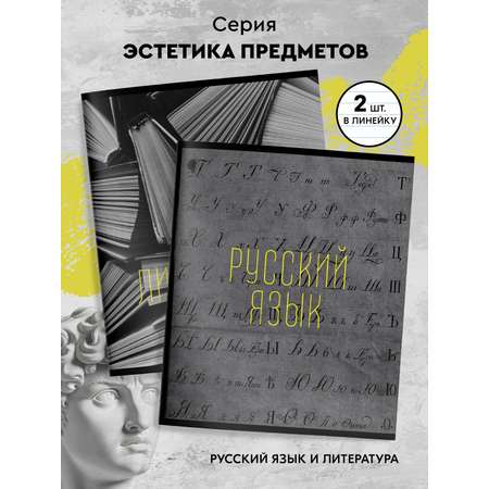 Комплект тетрадей SCHOOLFORMAT 48 листов А5 предметные 12 штук школьные