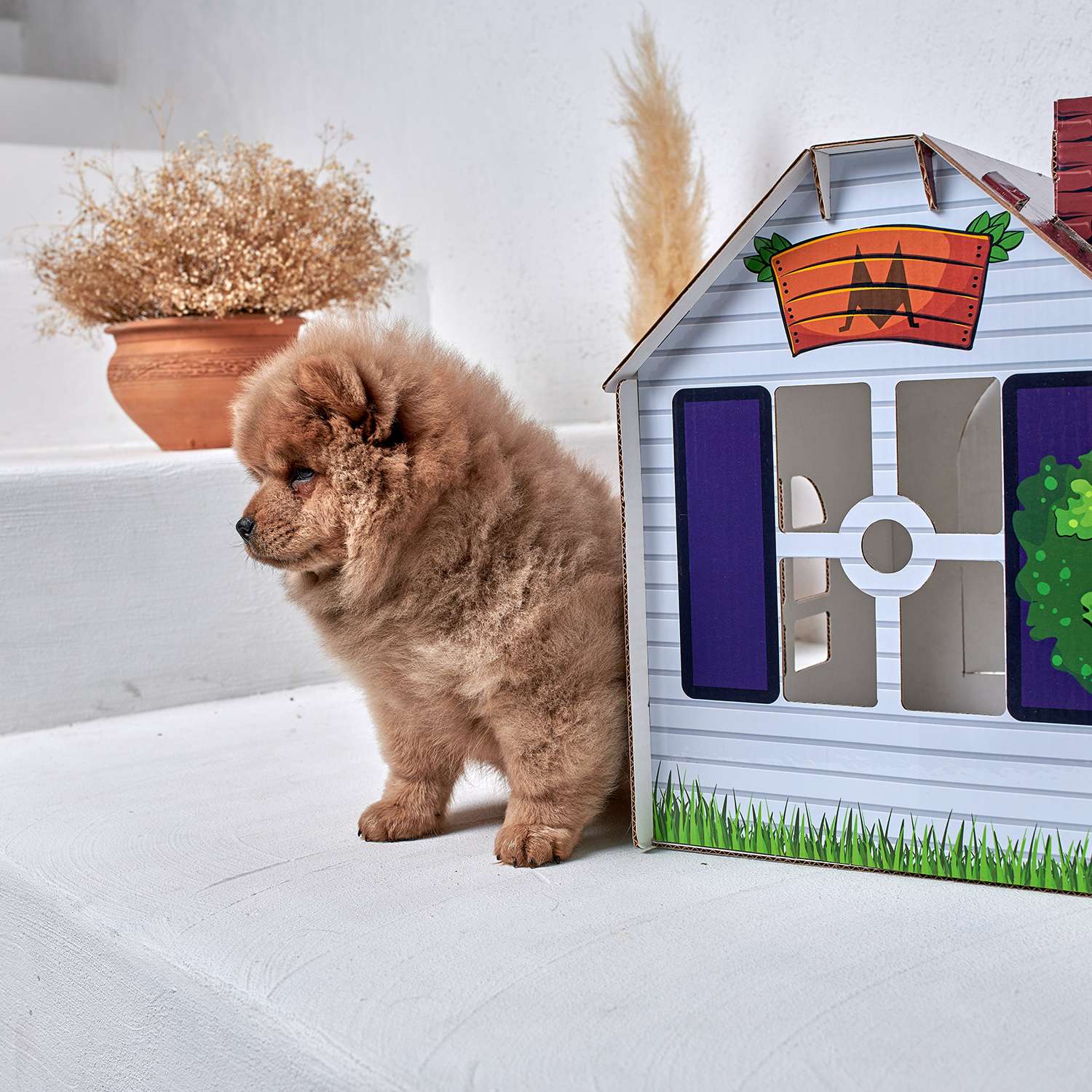 Домик MASKBRO улучшенный картонный для кошек и собак с когтеточкой и мятой - фото 2