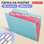 Папка-органайзер Brauberg А4