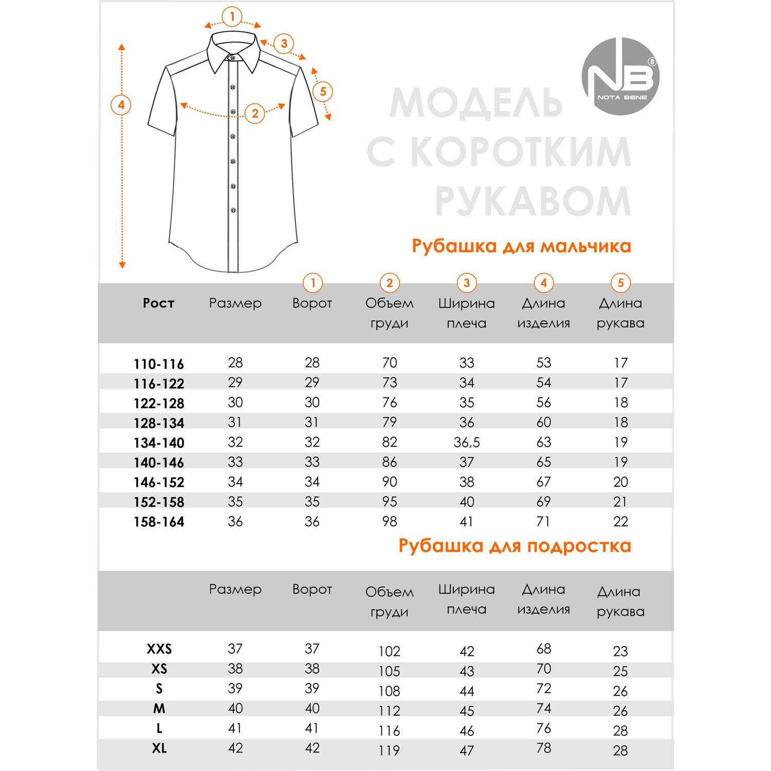 Рубашка Nota Bene TC2DSPR-1 - фото 8