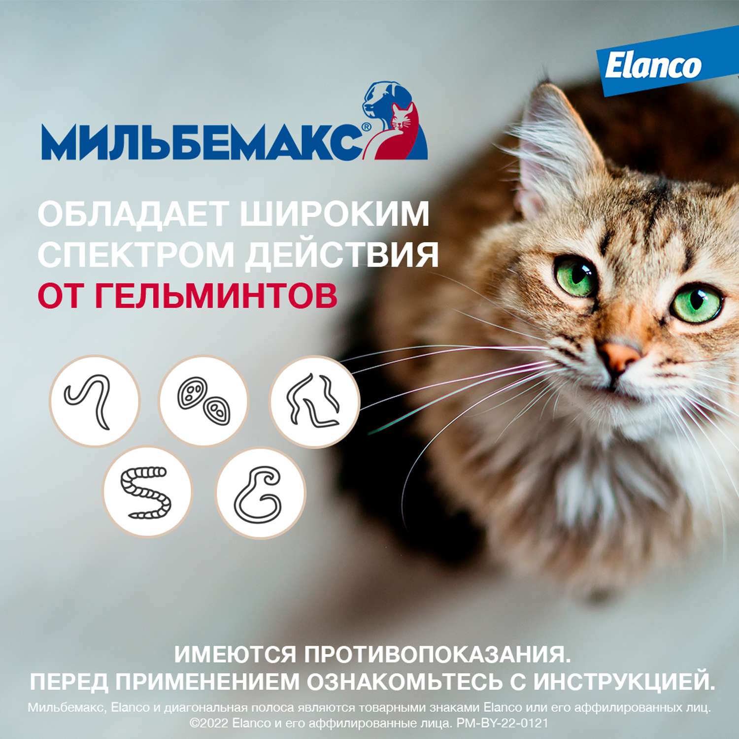 Антигельминтик для кошек Elanco Мильбемакс крупных пород 2таблетки - фото 4