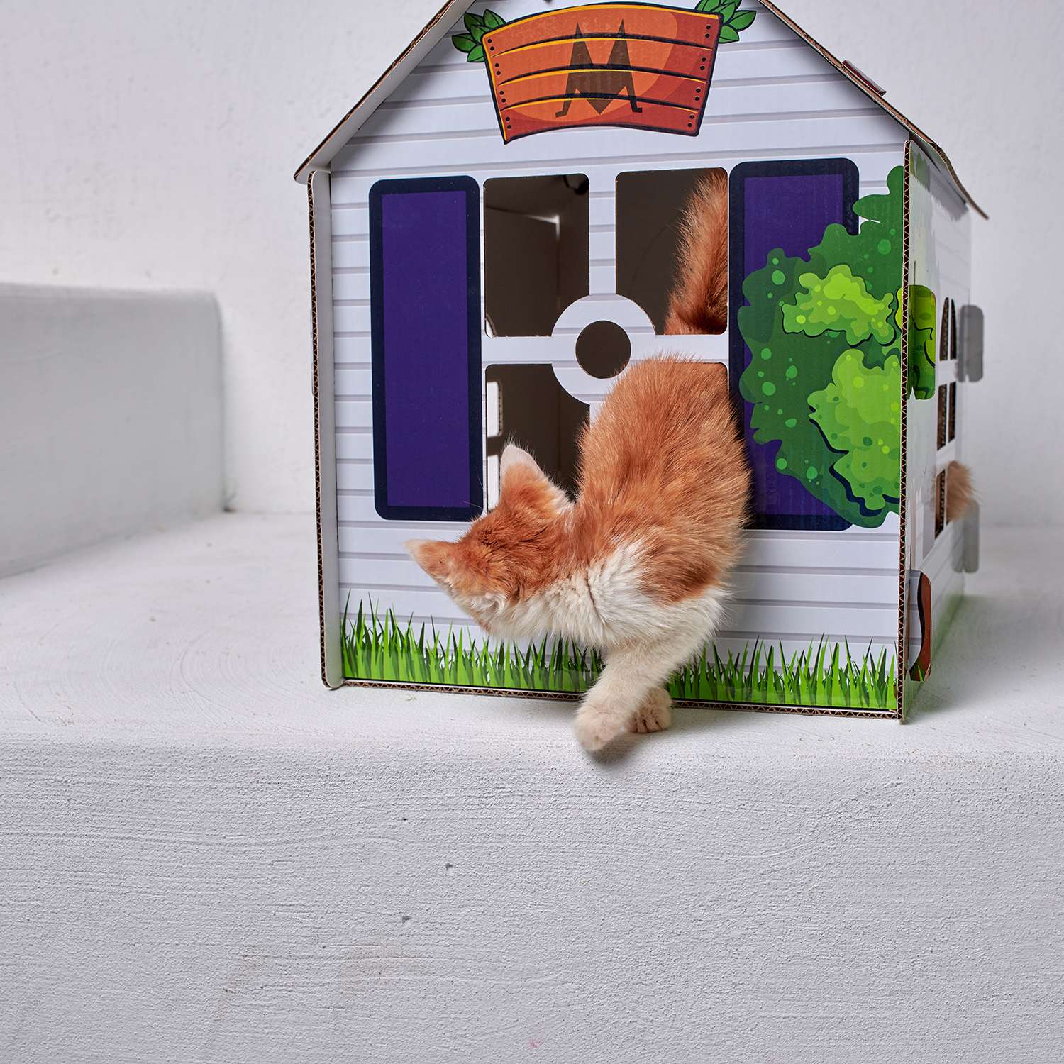 Домик MASKBRO улучшенный картонный для кошек и собак с когтеточкой и мятой - фото 6