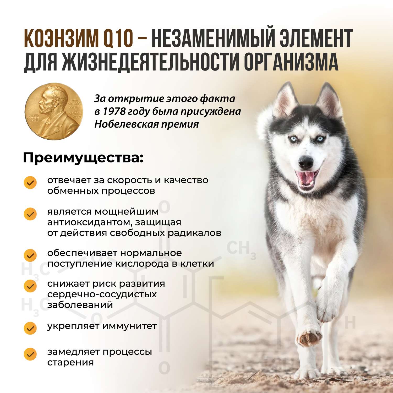 Витамины для собак Unitabs Senior Complex с Q10 100таблеток - фото 9
