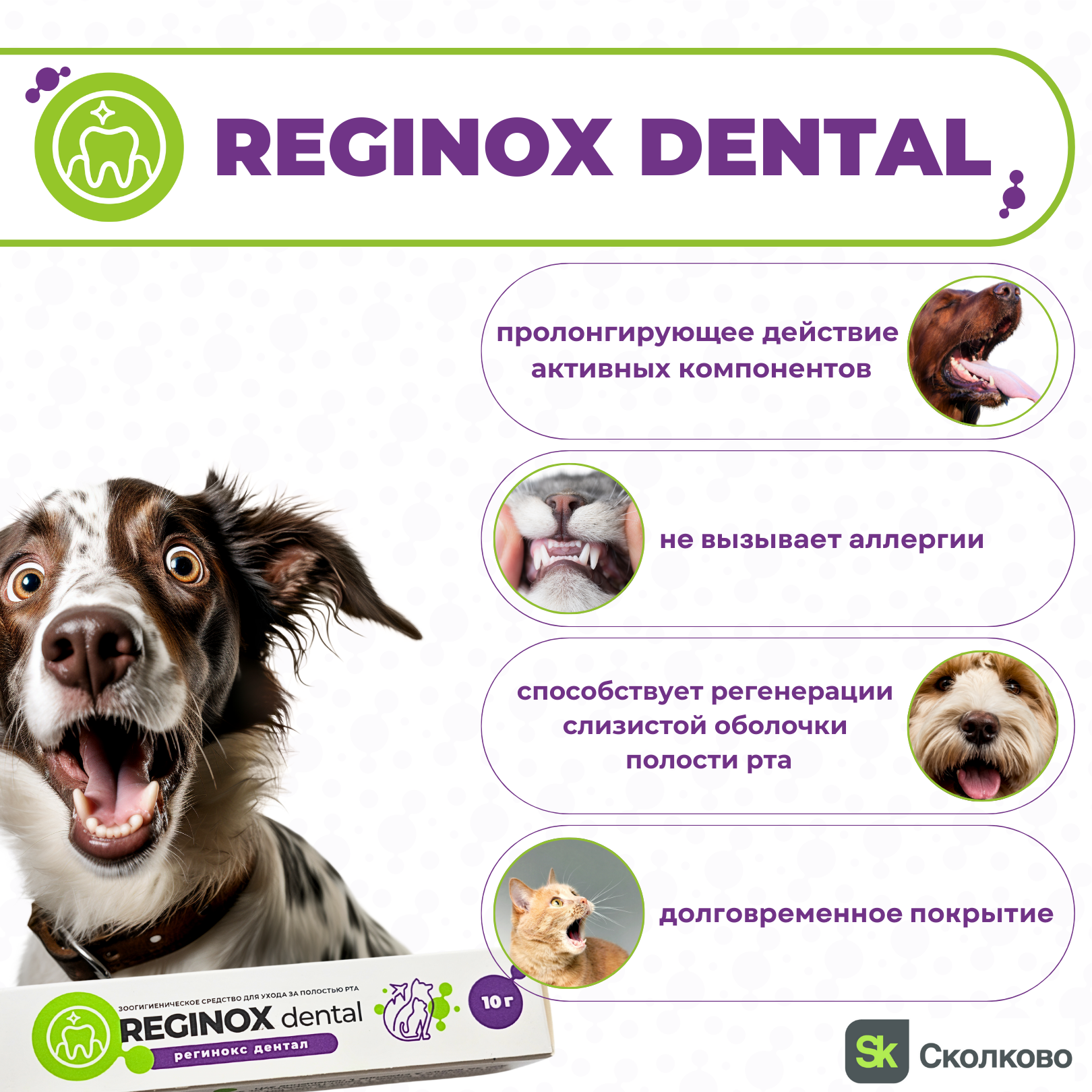 Reginox Dental гель заживляющий для ухода за полостью рта животных (Регинокс Дентал) - фото 7