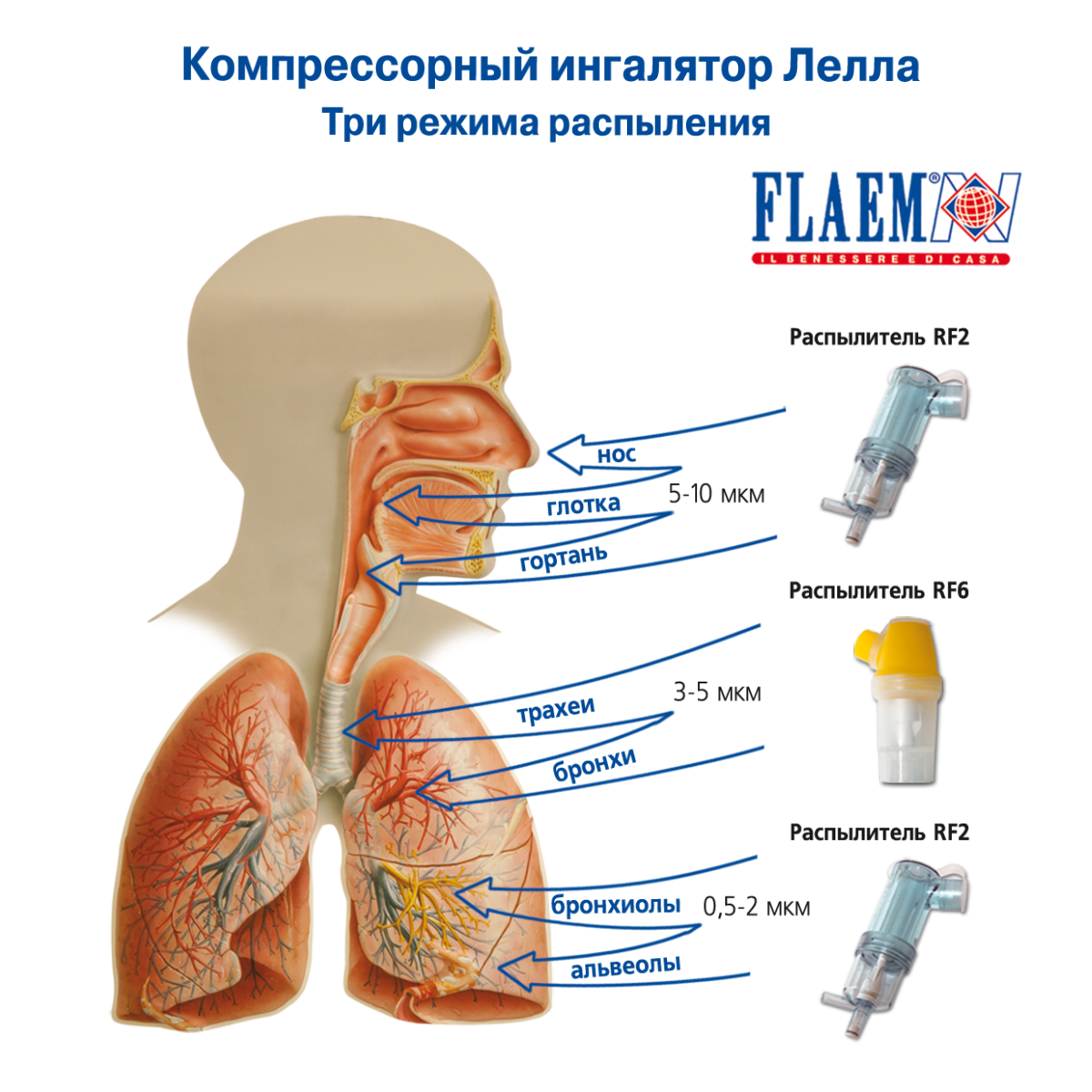 Ингалятор FLAEM NUOVA Компрессорный трёхрежимный Лелла Италия купить по  цене 5962 ₽ в интернет-магазине Детский мир