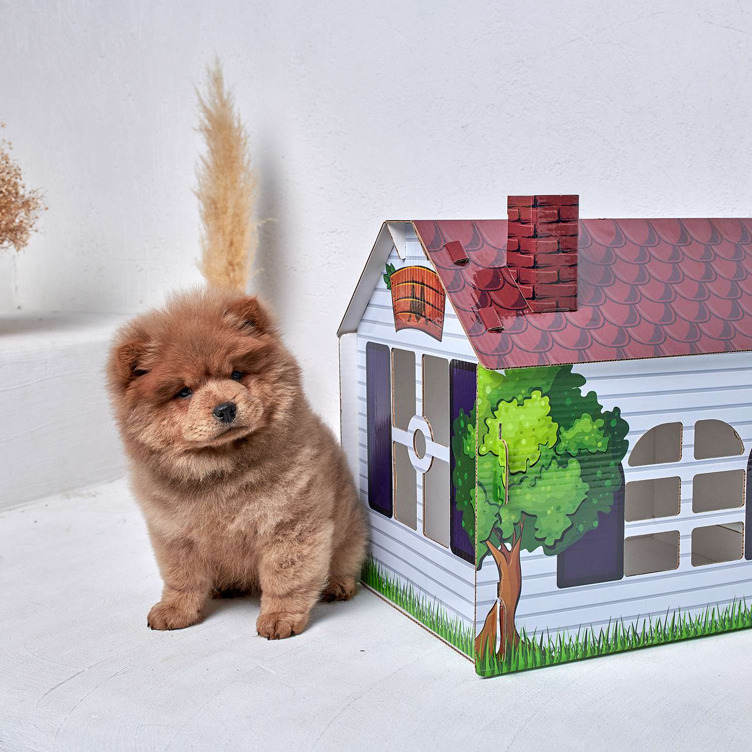 Домик MASKBRO Улучшенный картонный для кошек и собак из тикток tiktok - фото 2