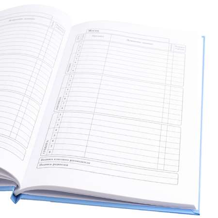 Дневник школьный Prof-Press Акула кричит 40 листов универсальный