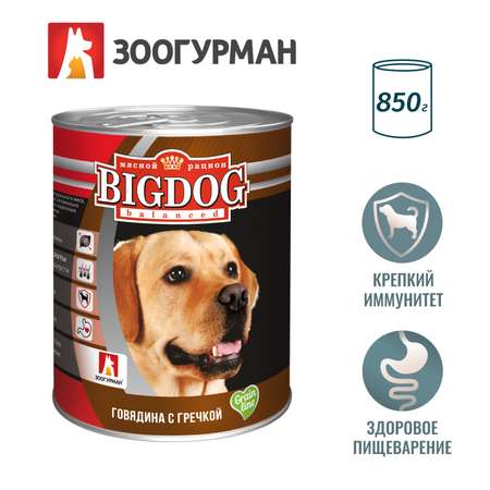 Корм для собак Зоогурман Big Dog 850г говядина с гречкой ж/б