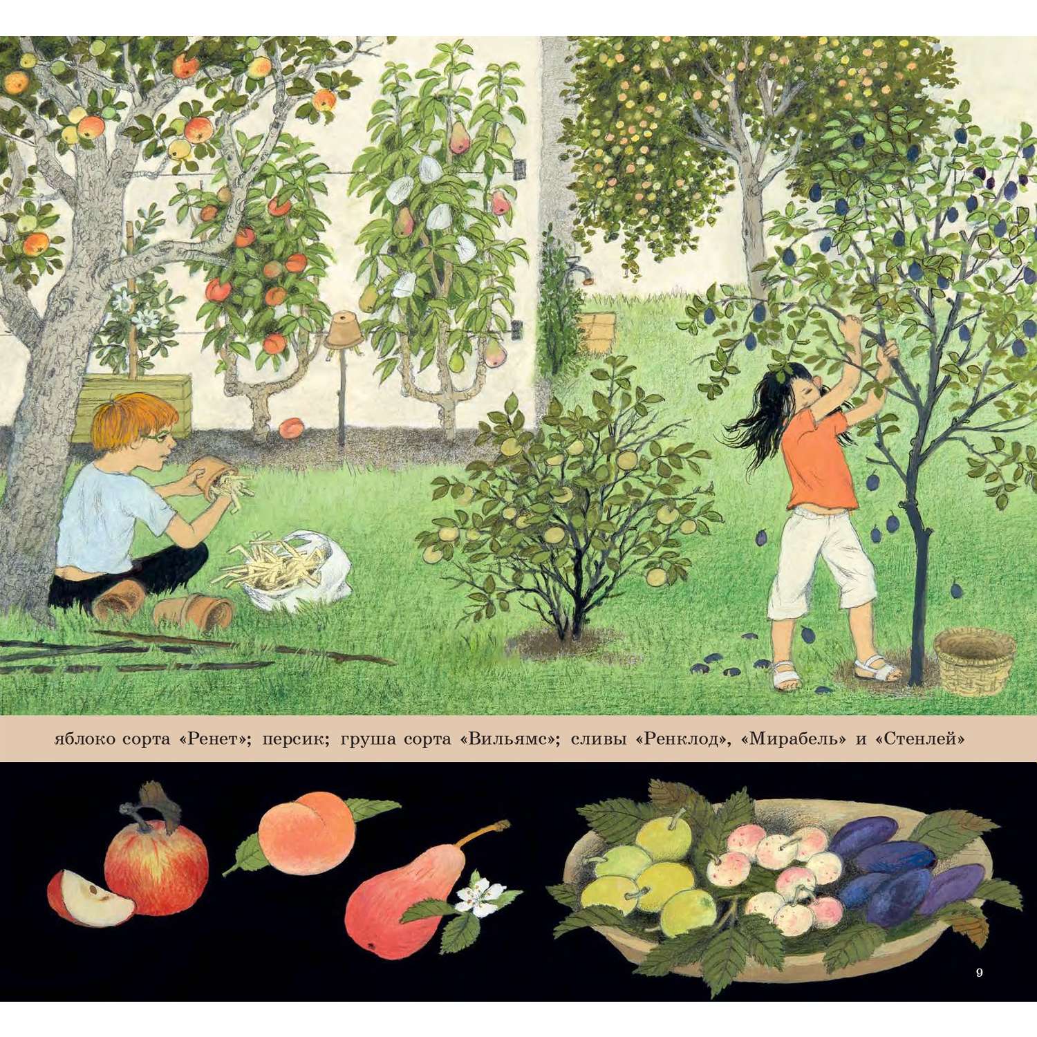 Комплект Добрая книга Как растут овощи? + Как растут ягоды + Наше дерево - фото 37