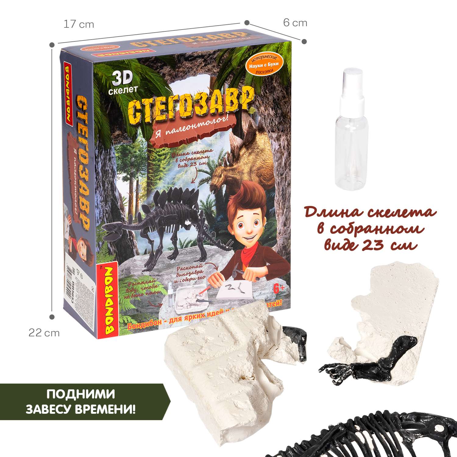 Набор для раскопок BONDIBON динозавр Стегозавр серия Науки с Буки - фото 8