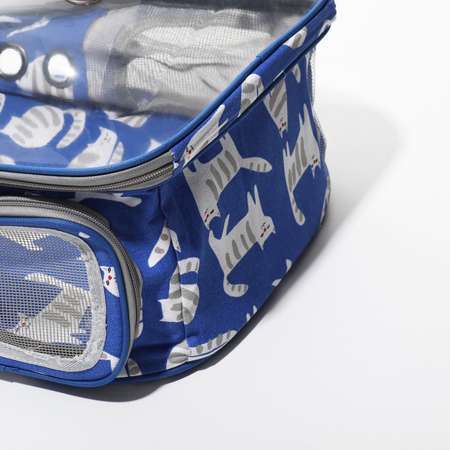 Рюкзак для переноски Пижон прозрачный «Коты» 33х25х41 см