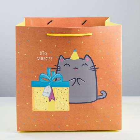 Пакет подарочный Дарите Счастье «Котик и тортик»