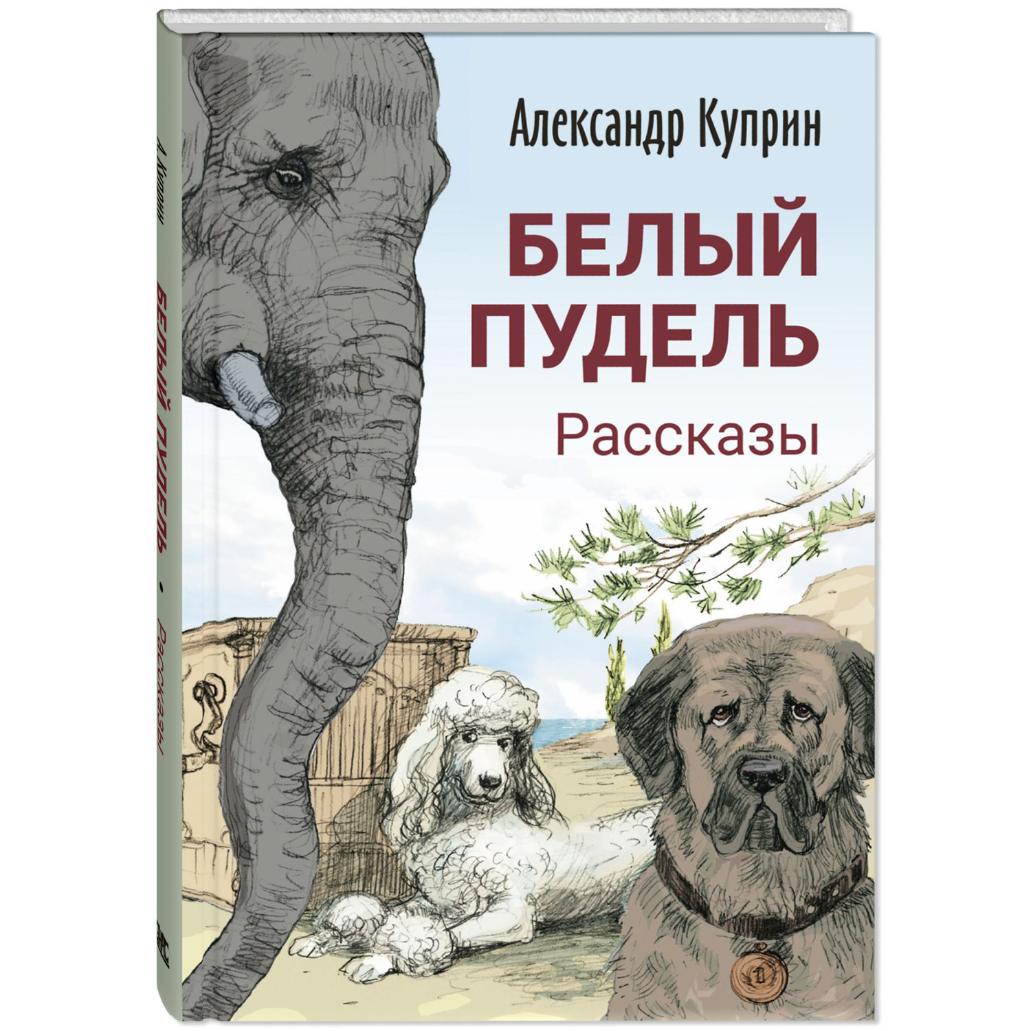 Книга ЭНАС-книга Белый пудель. Рассказы