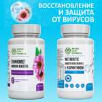 Эхинацея и Метабиотик Green Leaf Formula витамины для кишечника и иммунитета от гриппа и простуды 90 капсул