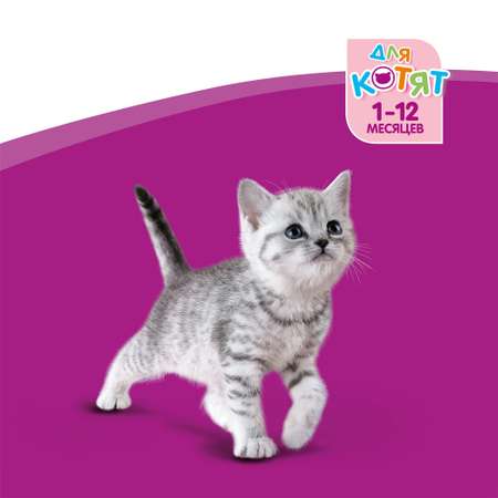 Корм влажный для котят Whiskas 85г рагу с ягненком пауч