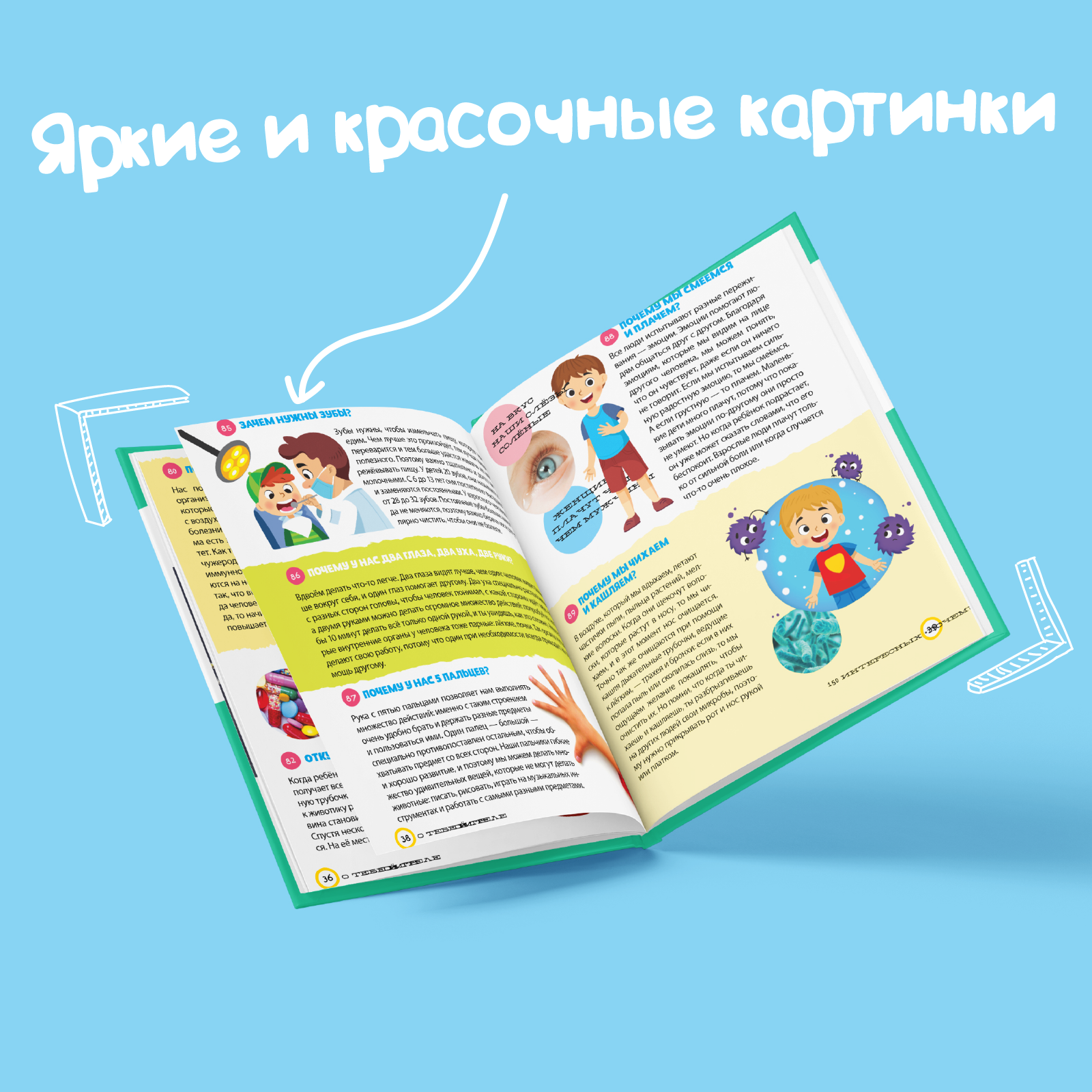 Книга Буква-ленд Энциклопедия. 150 интересных почему - фото 6