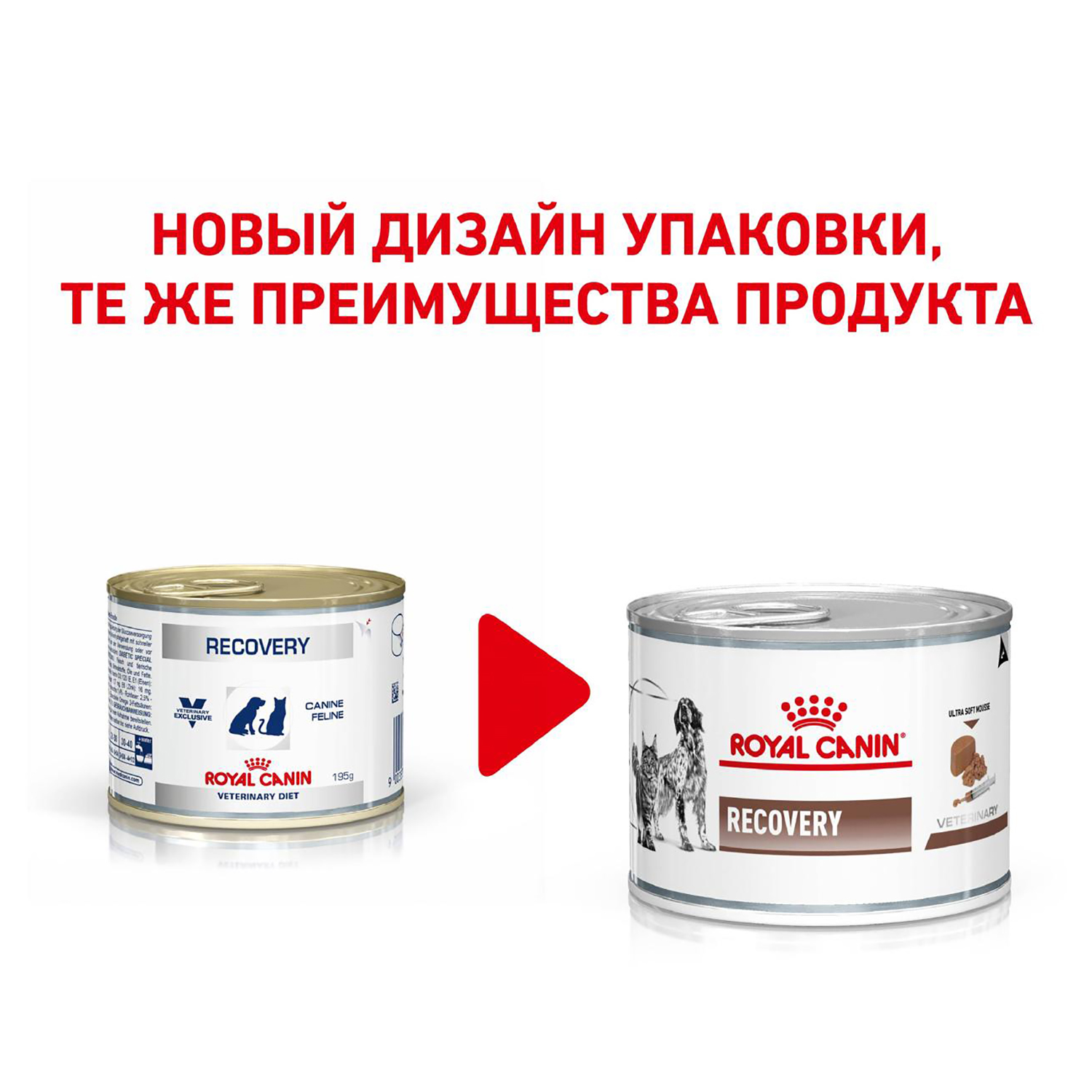 Влажный корм для собак ROYAL CANIN Recovery 0.195 кг (лечебный) - фото 2