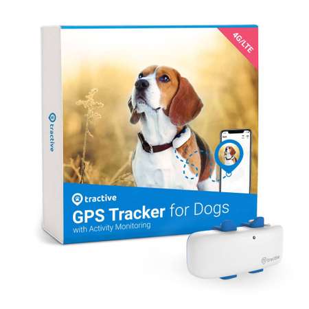 Трекер для собак Tractive 4 LTE