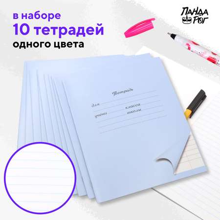 Тетради школьные в линейку ПАНДАРОГ широкую 18 л набор 10 шт картонная обложка голубые