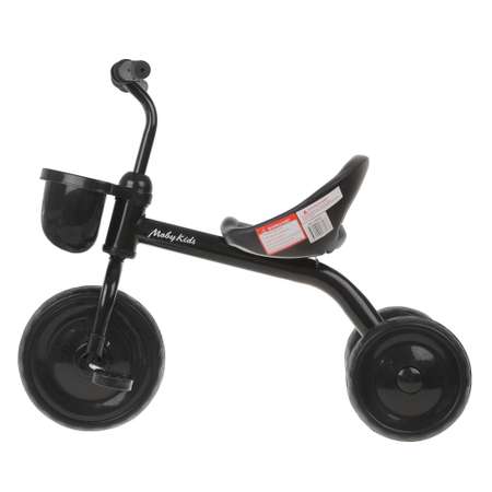 Велосипед трехколесный Moby Kids Енотик колеса 9/7 EVA