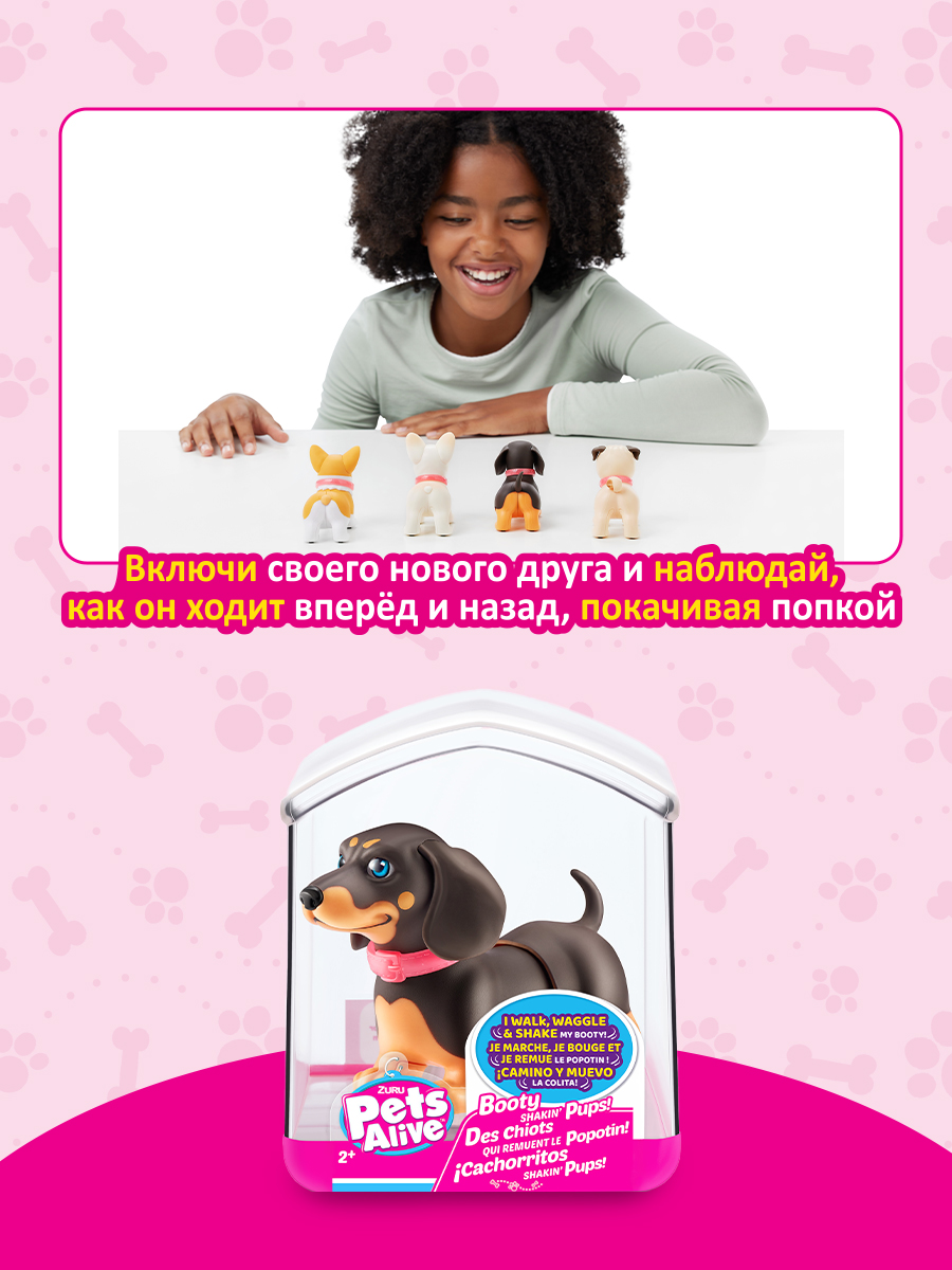 Игрушка Pets Alive Танцующий питомец такса интерактивная 9530SQ1 купить по  цене 1499 ₽ в интернет-магазине Детский мир