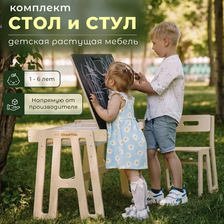 Детский стол и стул Limoni-Kids Растущий набор с грифельной доской и контейнерами