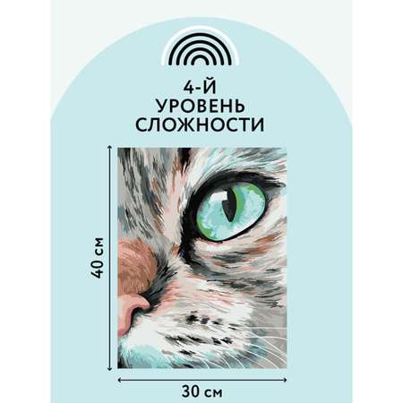 Картина по номерам ТРИ СОВЫ на холсте Кошачий взгляд 30*40 с акриловыми красками и кистями