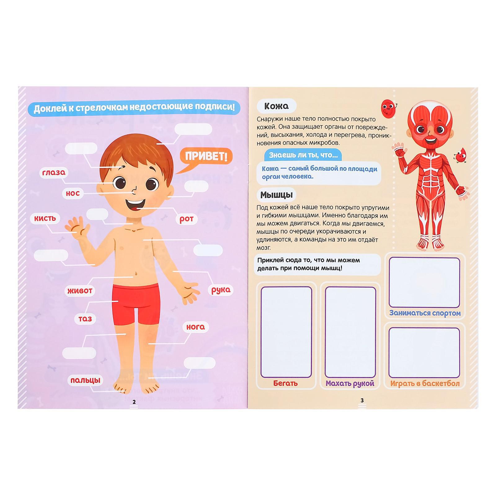 Книга Буква-ленд с наклейками Как устроено моё тело Буква-ленд - фото 3