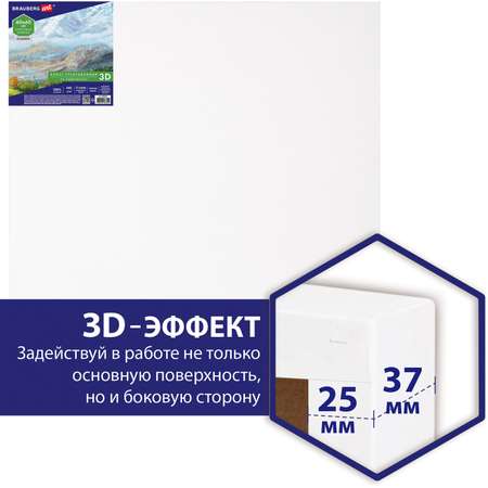 Холст на подрамике Brauberg для рисования 60х60 см 440 г/м2