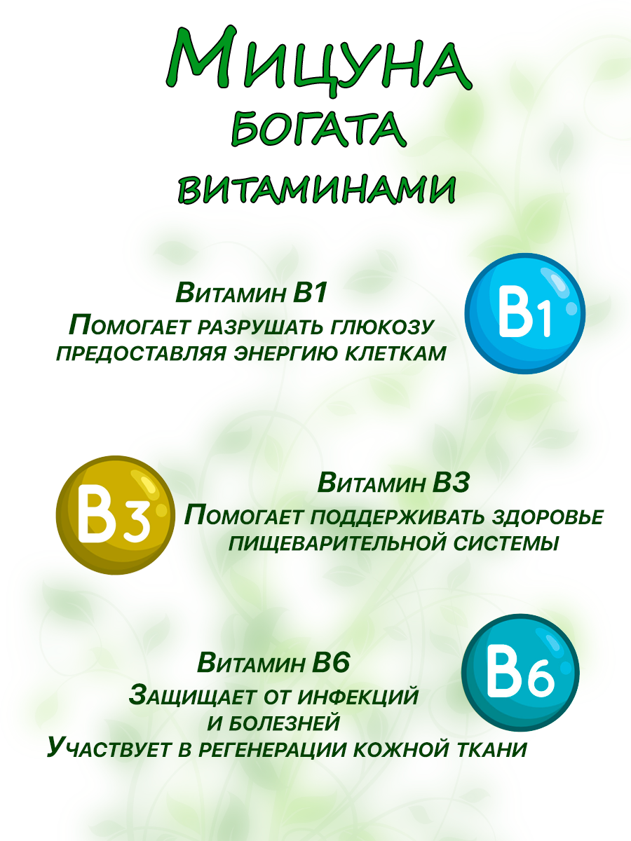 Набор для выращивания сёМа Люкс 6 культур - фото 9