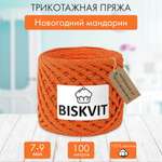 Трикотажная пряжа BISKVIT Новогодний мандарин