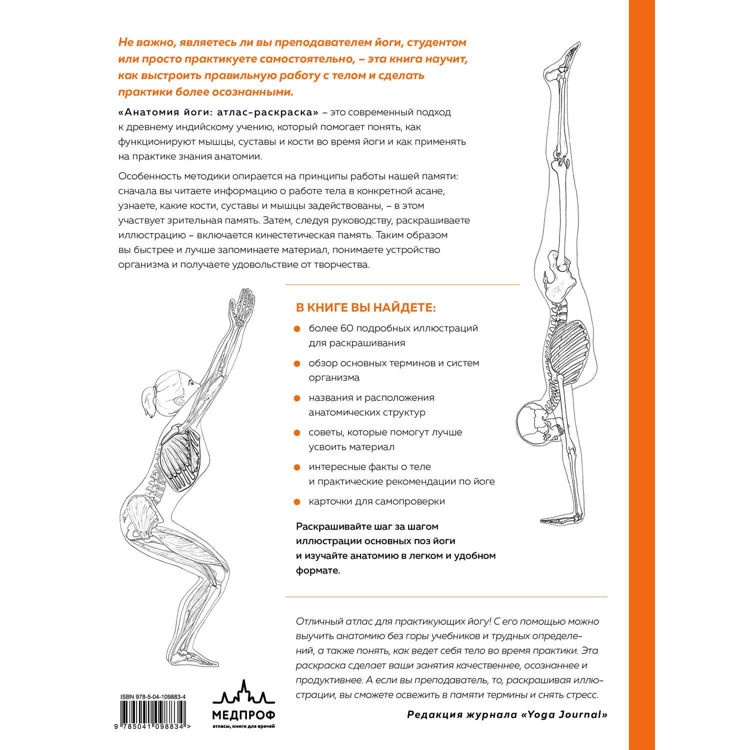 Книга Эксмо Анатомия йоги атлас раскраска Визуальный гид по телу от структуры к осознанной практике - фото 10