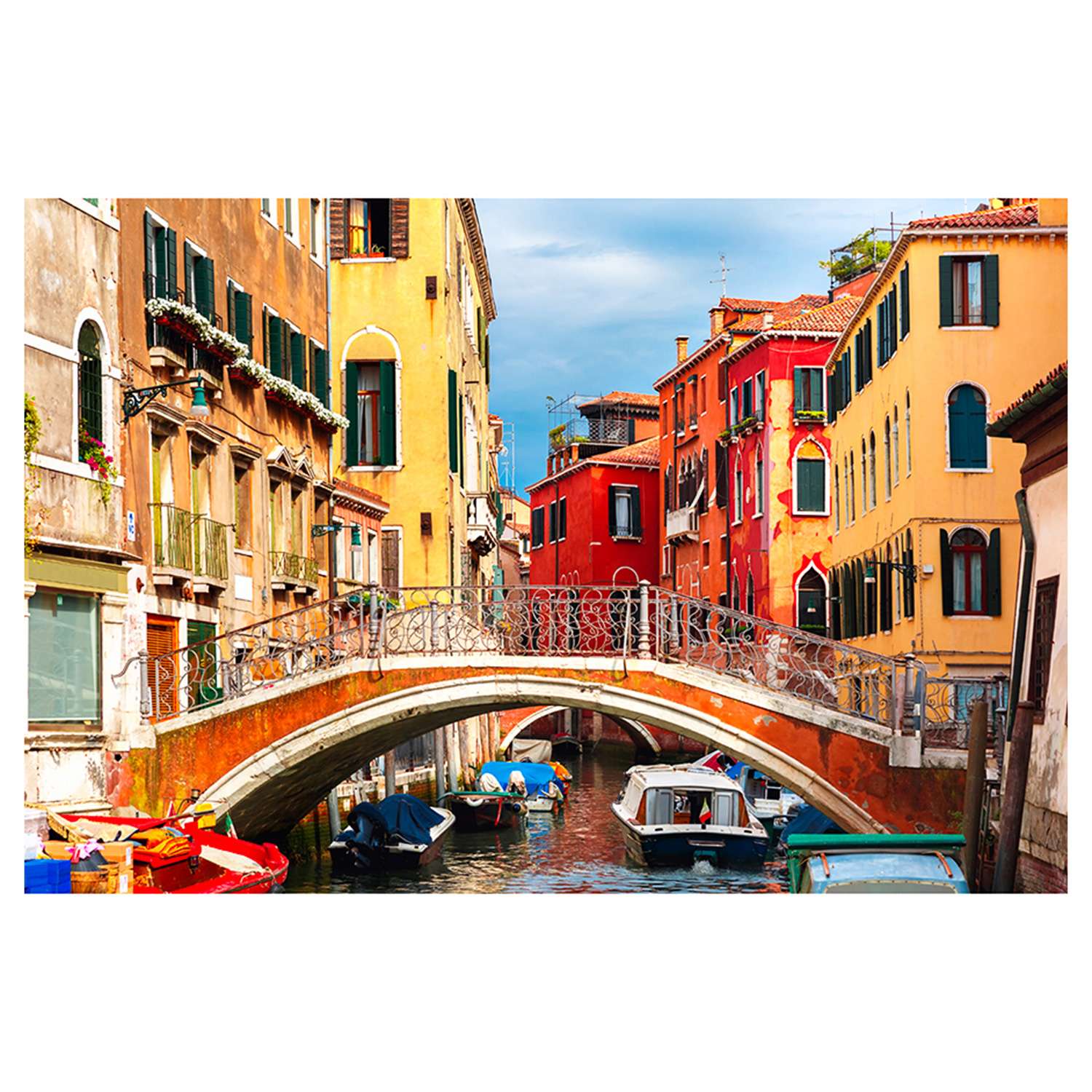 Картина по номерам Рыжий кот Яркая Венеция 30х40 - фото 1
