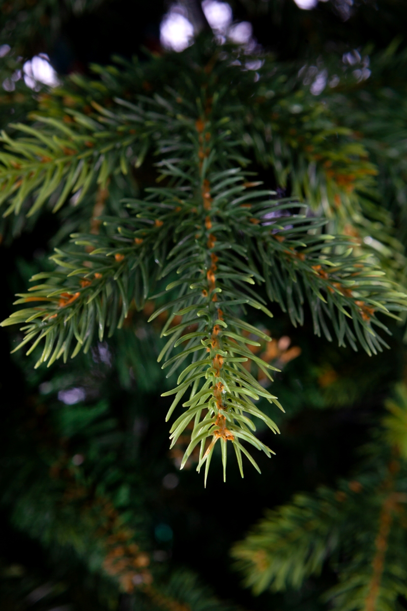 Искусственная елка Crystal Trees Гарда зеленая 180 см. - фото 6