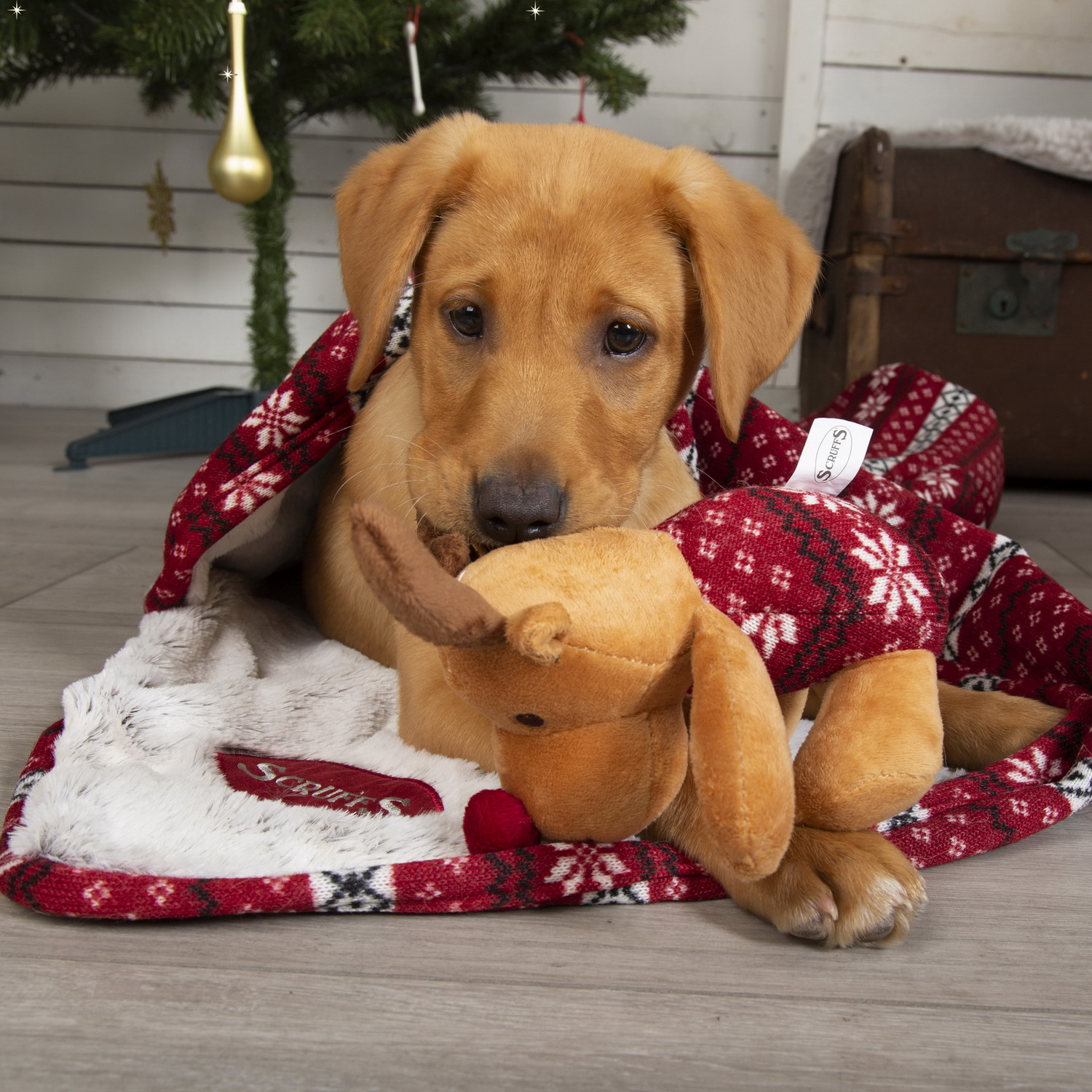 Одеяло для животных SCRUFFS Santa Paws Blanket - фото 6