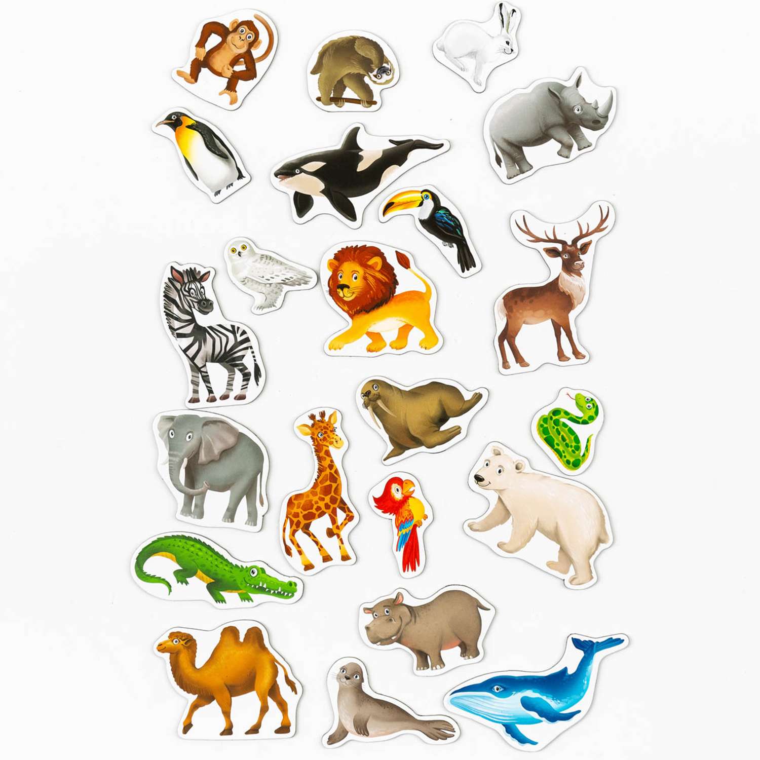 Магнитная игра Харди Гарди животные севера и юга дикие и домашние - фото 2