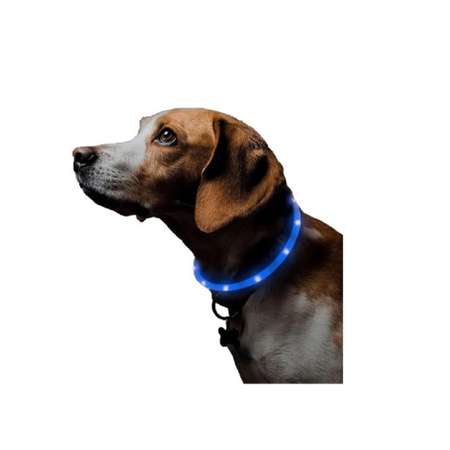 Светящийся ошейник для собак ZDK ZooWell Walk синий 55 см