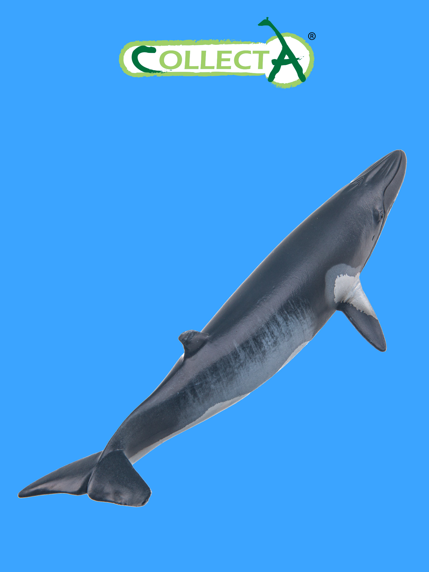 Игрушка Collecta Малый полосатик фигурка морского животного - фото 1