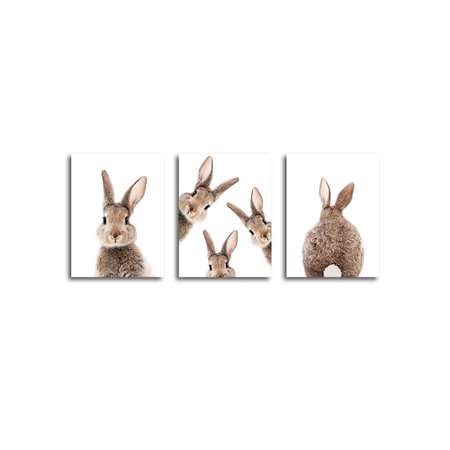 Комплект картин на холсте LOFTime С подрамником 3 шт Смешные кролики К-310-3040