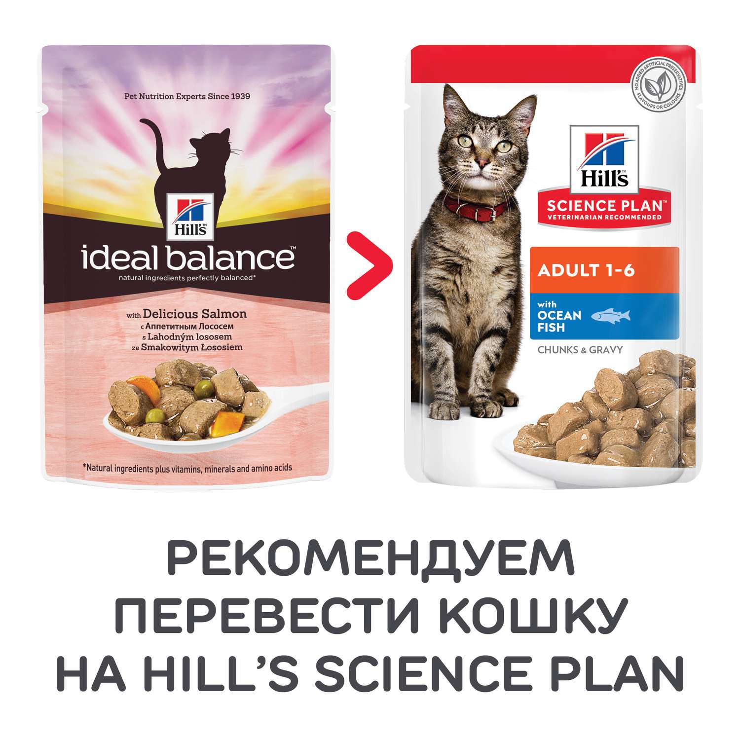 Корм влажный для кошек HILLS 85г Ideal Balance с аппетитным лососем пауч - фото 4