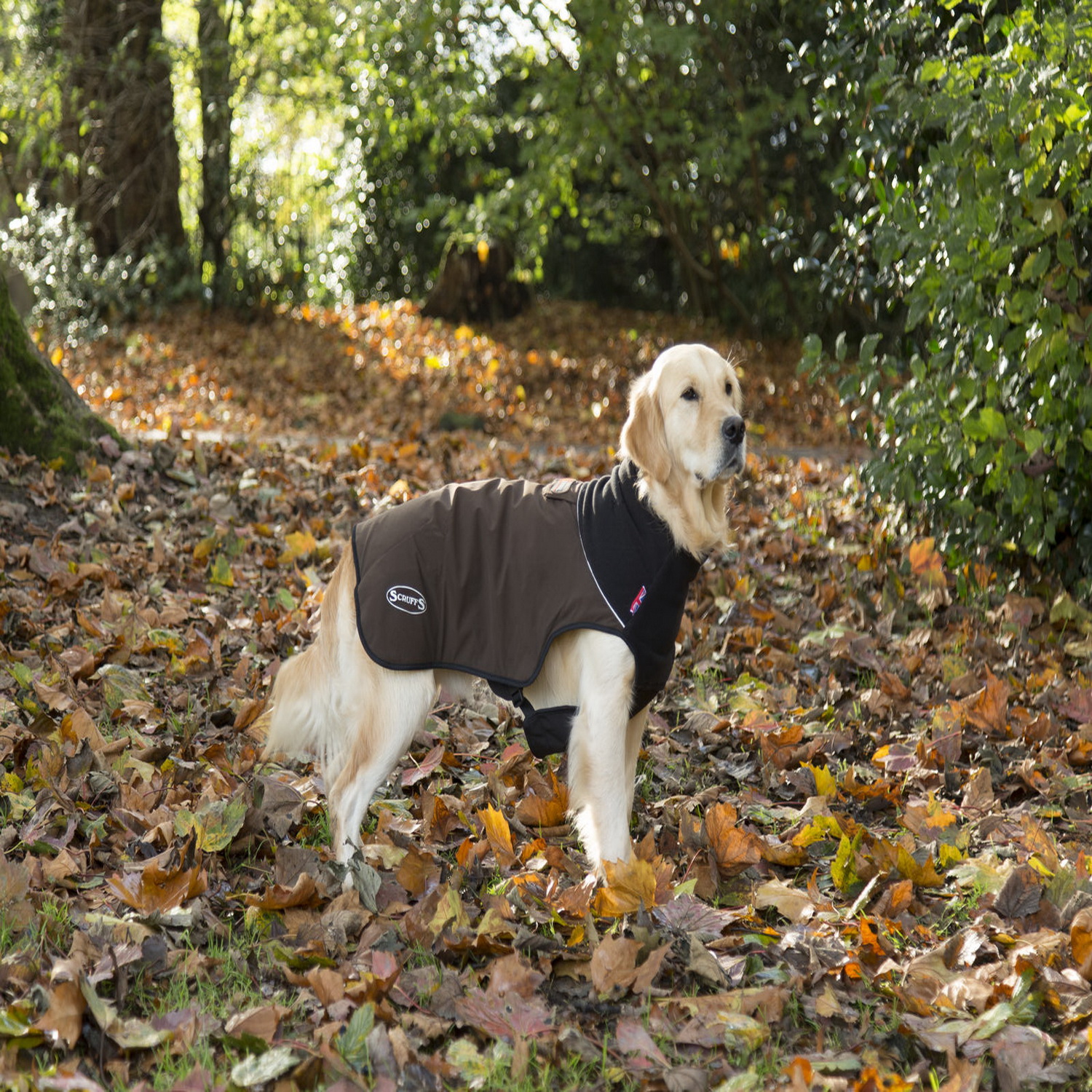 Попона согревающая SCRUFFS Thermal Dog Jacket - фото 5