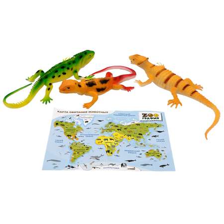 Игровой набор S+S Животные с картой обитания 3 шт Zooграфия