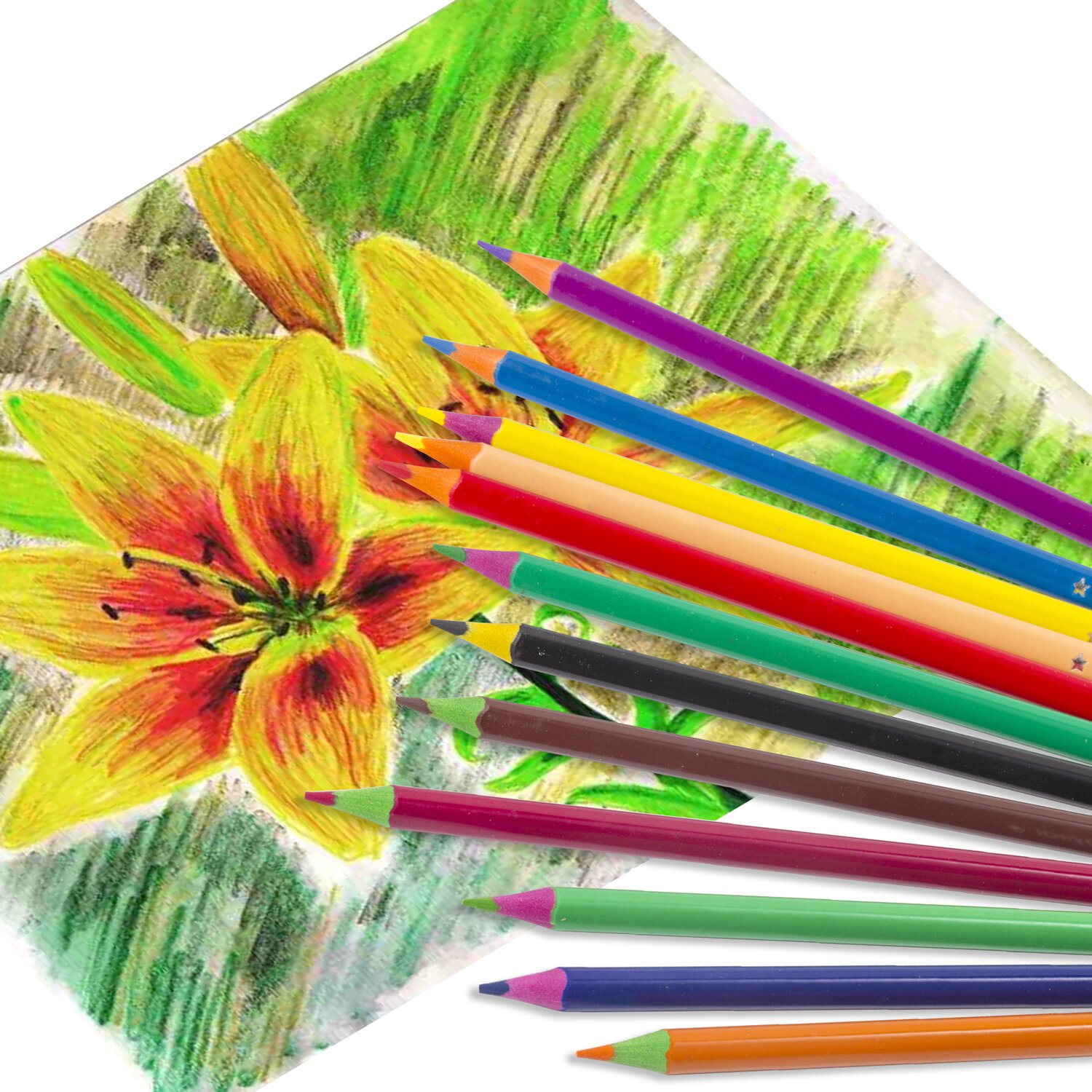 Карандаши цветные Юнландия для рисования набор 18 цветов пластиковые - фото 13