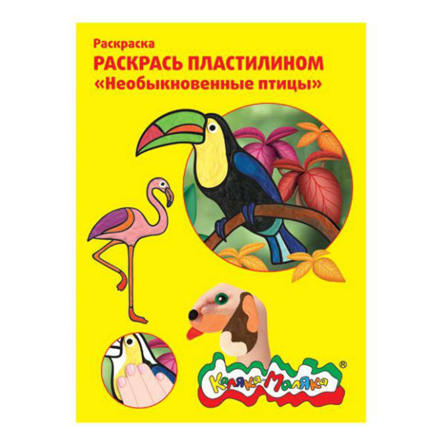 Раскраска пластилином А4 Каляка-Маляка Необыкновенные птицы 4 штуки - фото 1