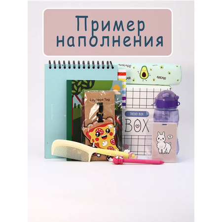 Подарочный бокс для девочки iLikeGift тренд