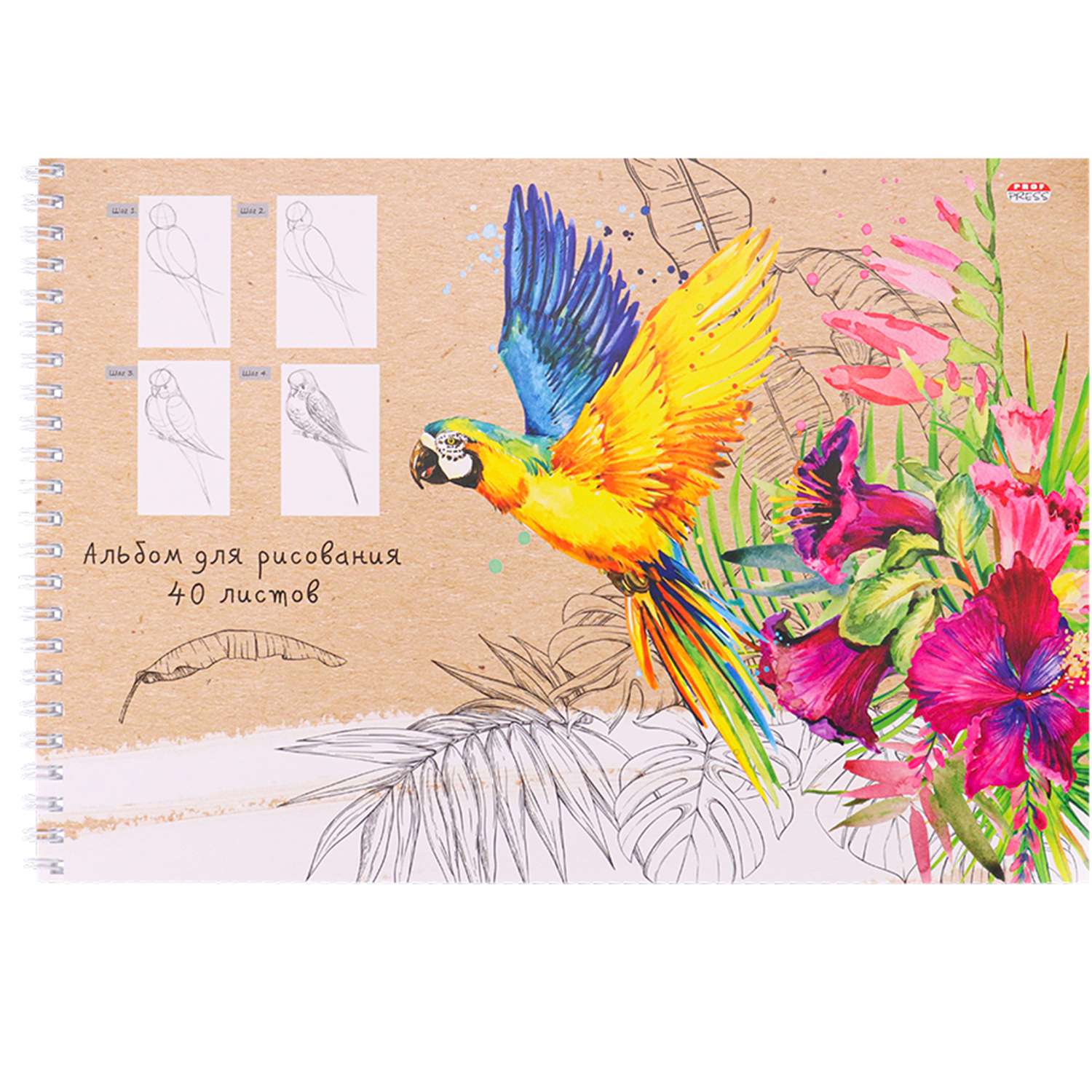 Альбом для рисования Prof-Press Попугай и растения А4 40 листов - фото 2