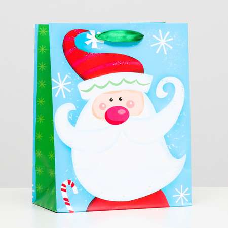 Пакет Sima-Land ламинированный «Дед мороз красный нос» 18×23×10