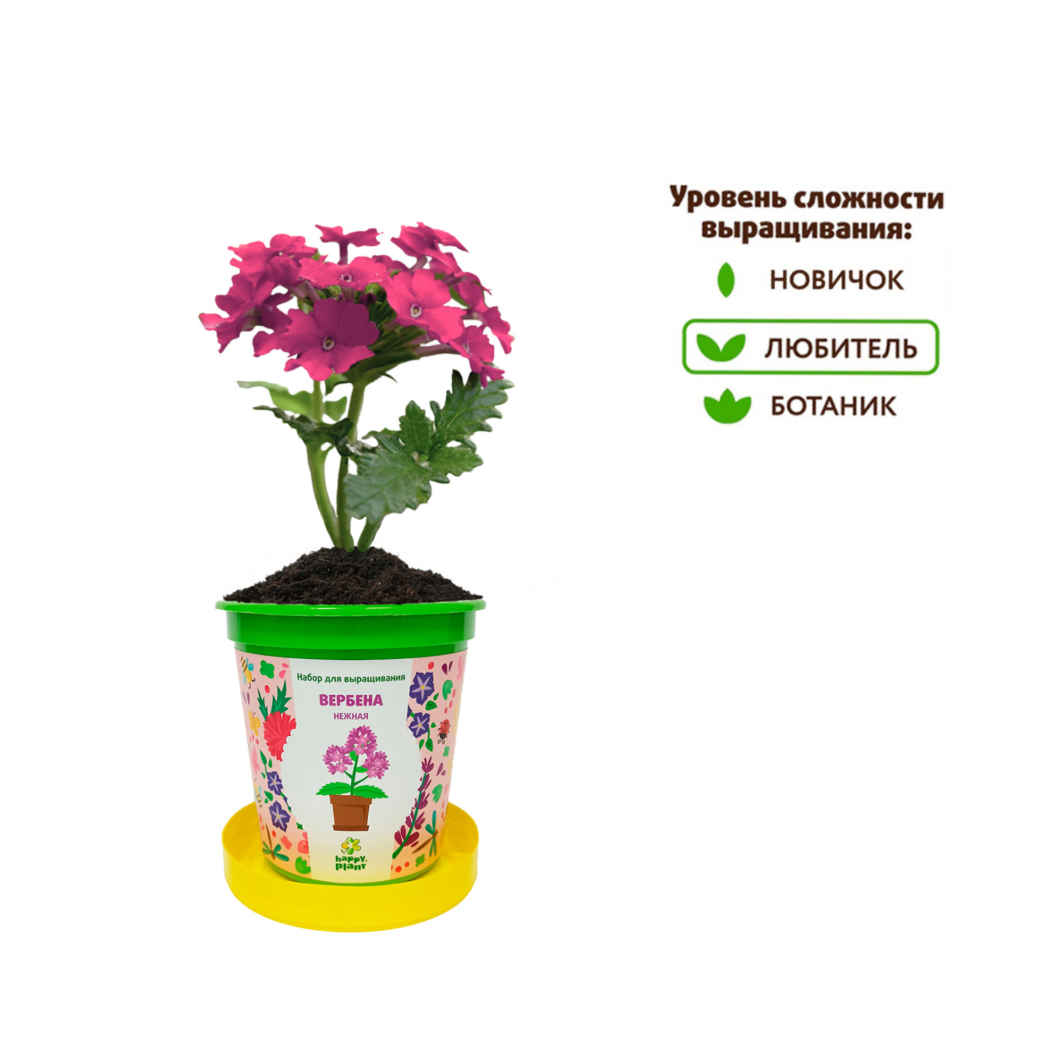 Набор для выращивания Happy Plant Вырасти сам растение в горшочке Вербена  нежная купить по цене 335 ₽ в интернет-магазине Детский мир